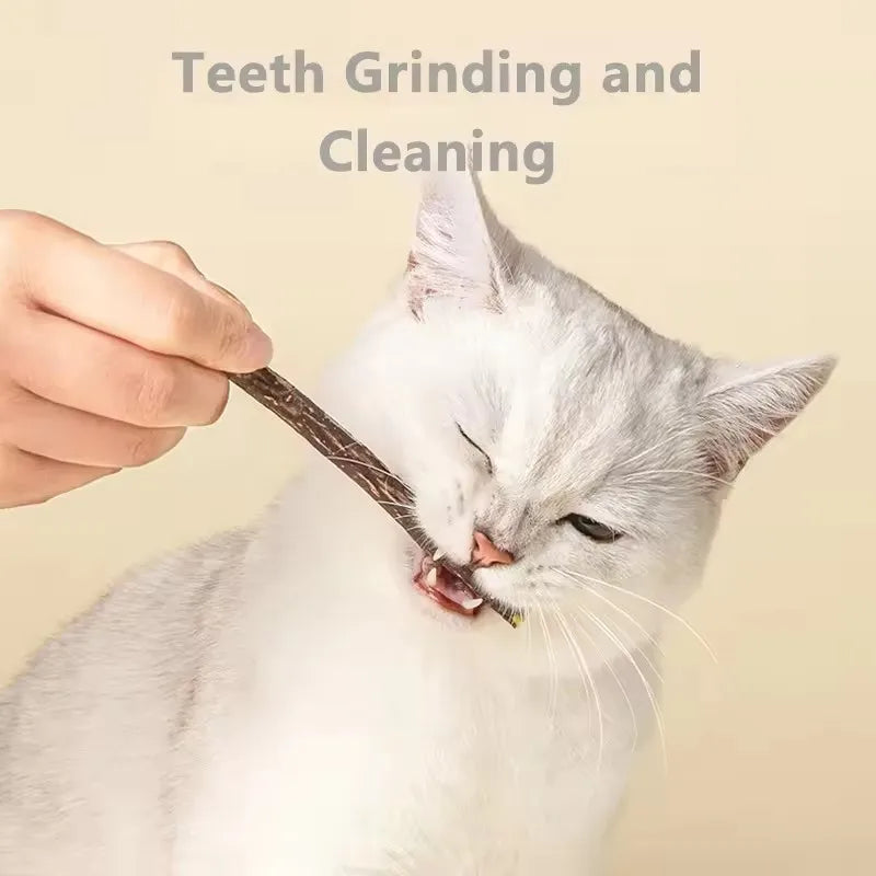 Naravne Mačje Palčke – Mačja Meta in Silvervine, Za Čiščenje Zob in Žvečenje