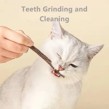 Naravne Mačje Palčke – Mačja Meta in Silvervine, Za Čiščenje Zob in Žvečenje