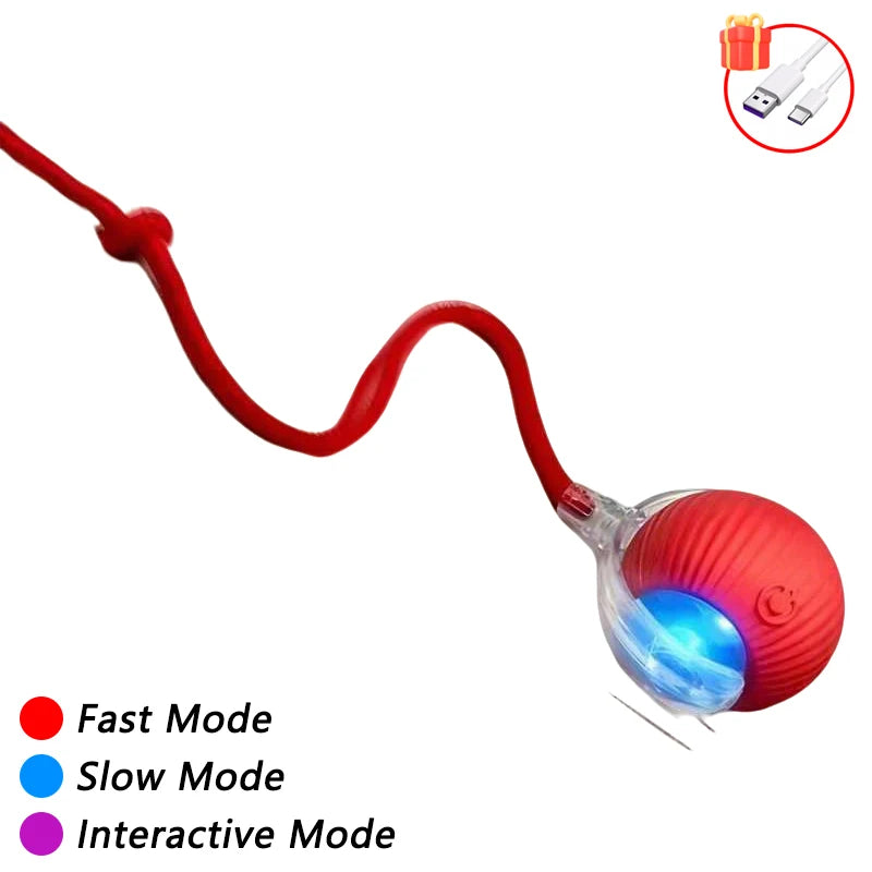 Električna Mačja Žogica – Samodejno Valjanje z Interaktivnim Ptičkom, Pametna in Polnilna