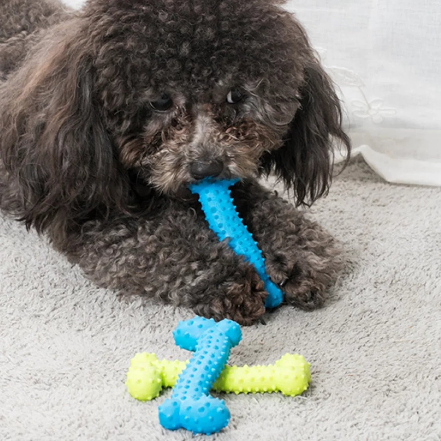 Gumijasta Igračka za Pse – Žvečljiva Kostička za Čiščenje Zob, Trening in Interaktivno Igro