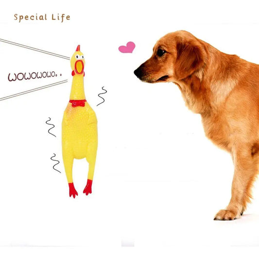 Zabavna Gumijasta Igračka za Pse – Piščalka v Obliki Piščanca, Igračka za Žvečenje