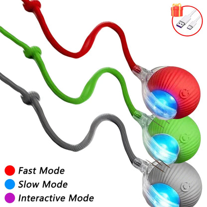 Električna Mačja Žogica – Samodejno Valjanje z Interaktivnim Ptičkom, Pametna in Polnilna